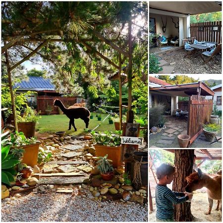 Alpaca Self Catering Cottage Клейнмонд Екстер'єр фото