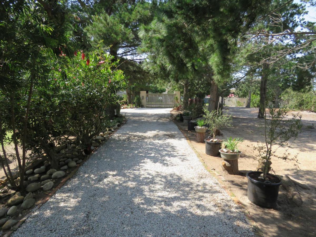Alpaca Self Catering Cottage Клейнмонд Екстер'єр фото